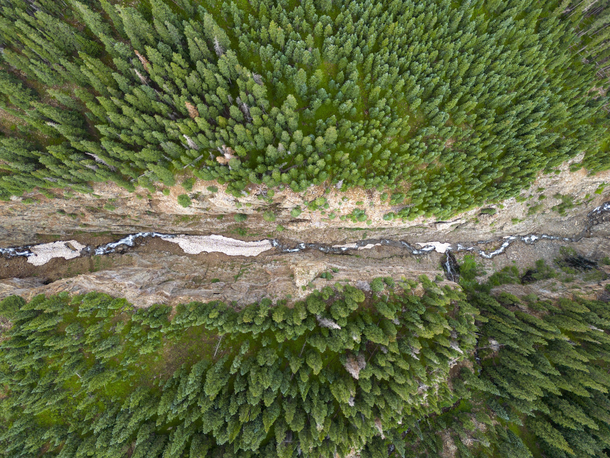 Drone Creek